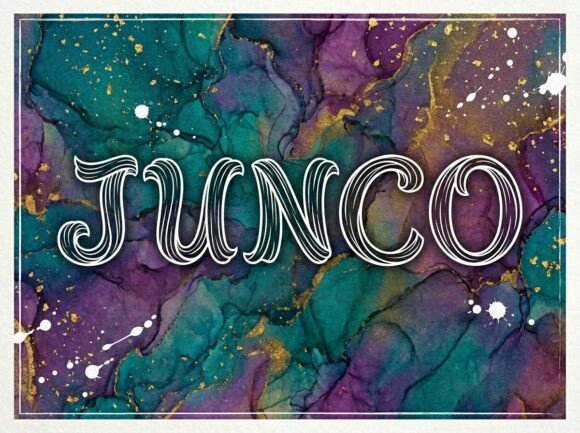 Junco Font: Elegant Display Type